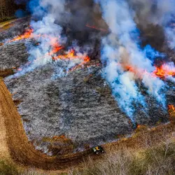 March 2020 (Shaker Village of Plesant Hill)